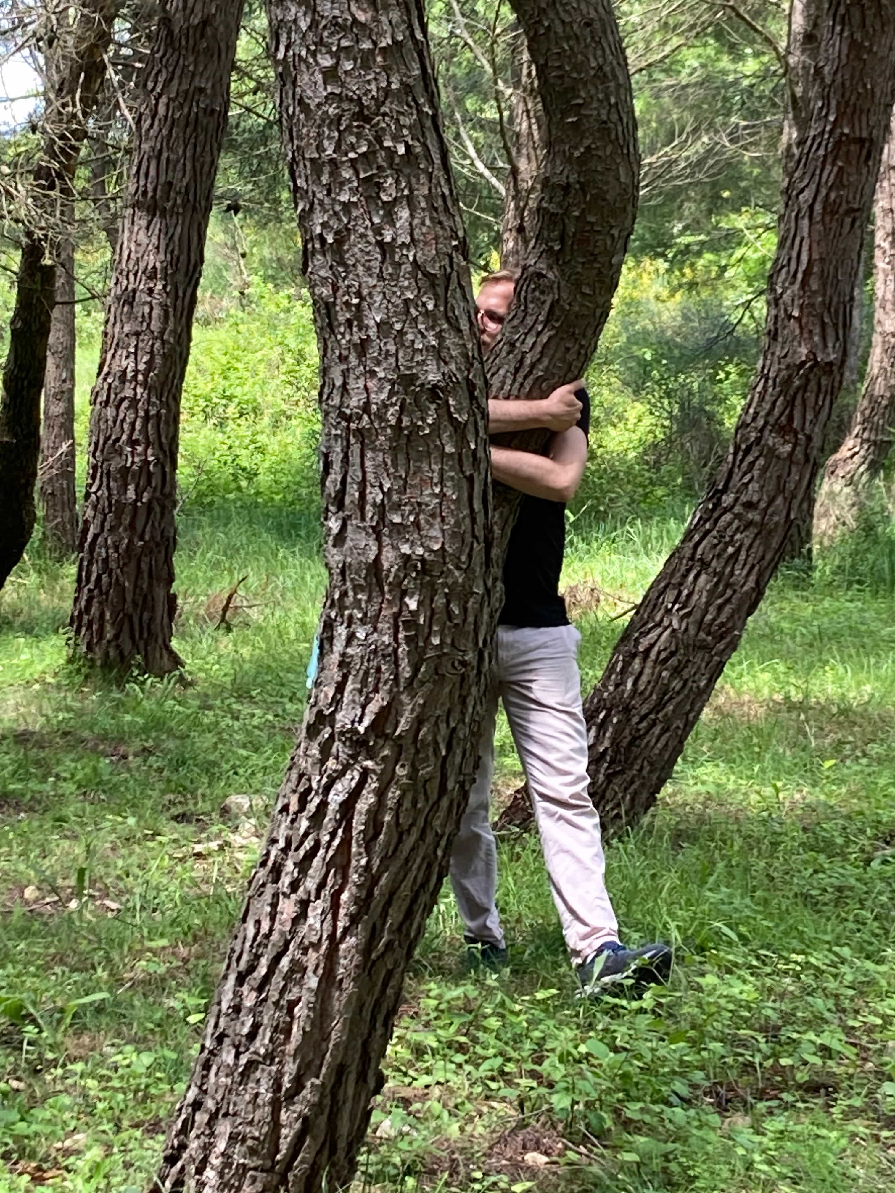 Forest Bathing in Abruzzo: Sensory Wellness Experience in Valle del Trigno