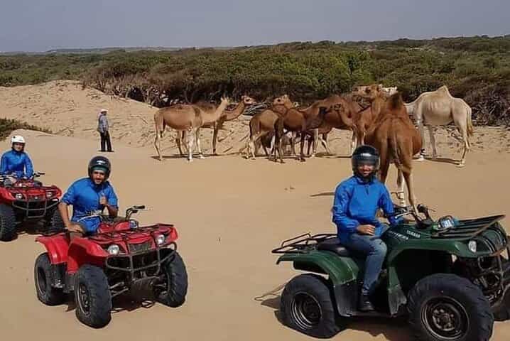 Essaouira P4: excursions EN Quad (free transfer)