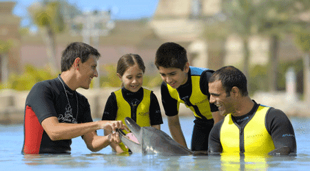 Play With Dolphins (Shallow Water)