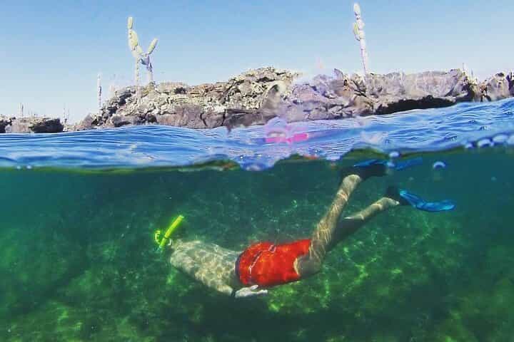 12 Days Exploring Galapagos "Santa Cruz- Isabela - San Cristobal"