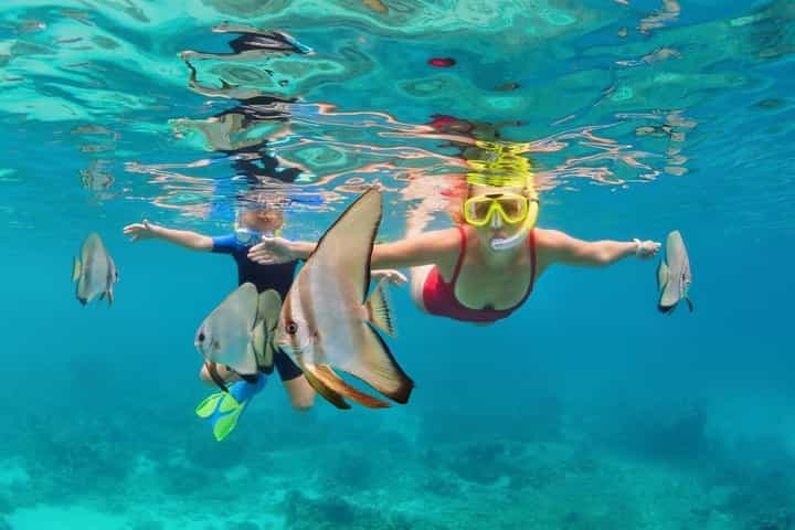 Ultimate Snorkeling wildlife sanctuary and Beach Day Pass