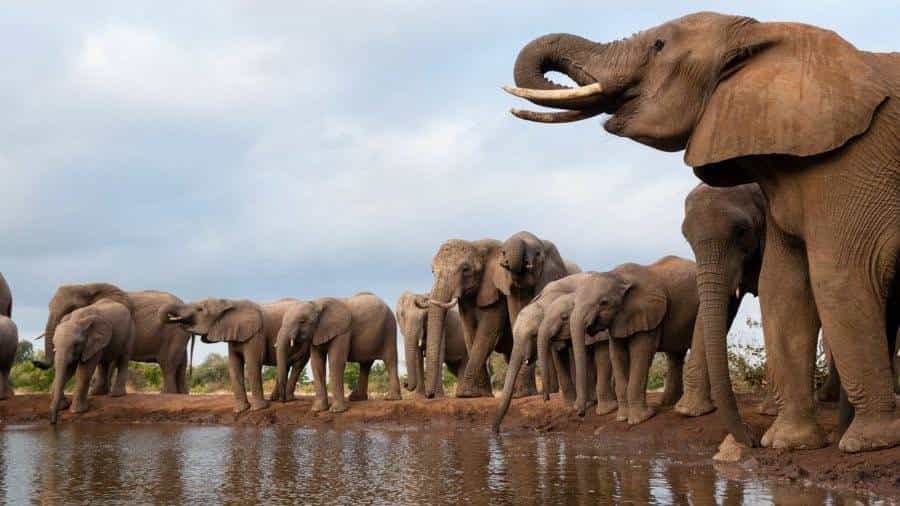 Bandundu Region Sacred Rivers & Forest Kingdom Expedition