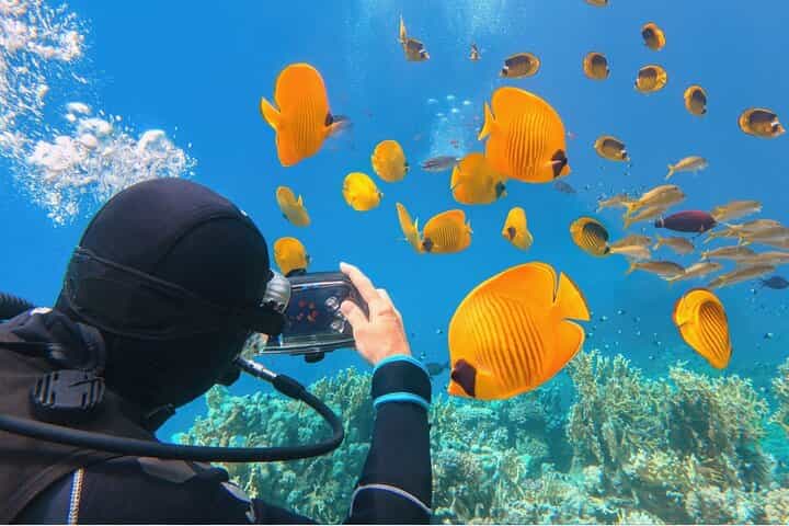 Sharm El-Sheikh: Ras Muhammed & White Island By Boat & intro Dive