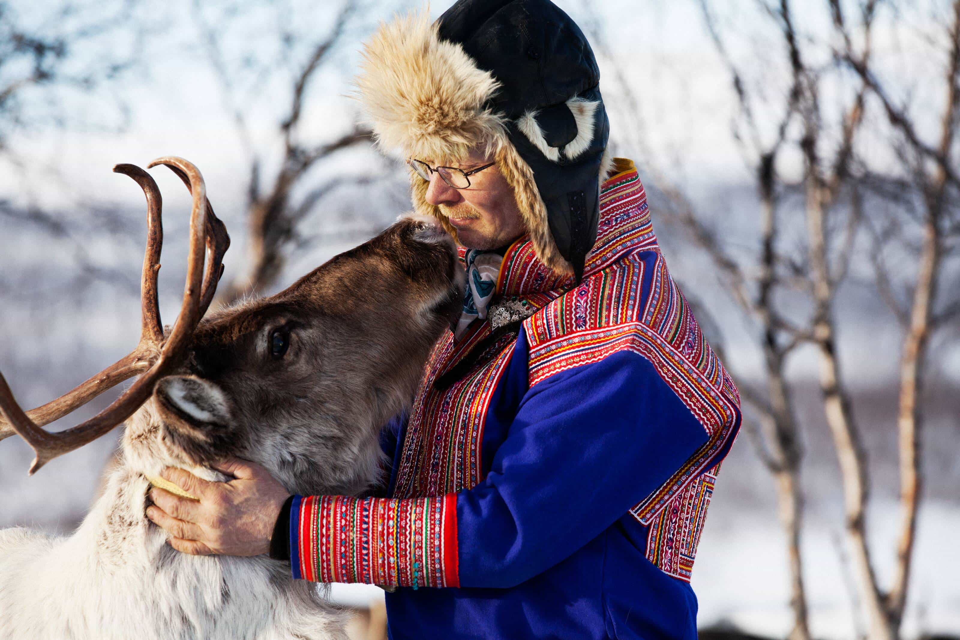 Lapland Reindeer Safari From Saariselkä