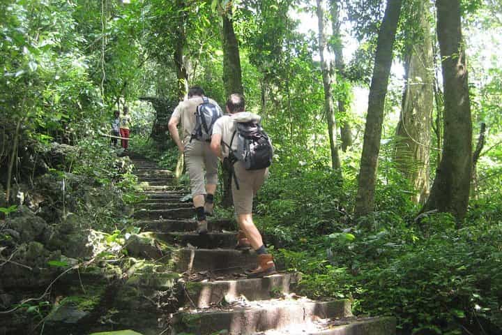 Hanoi - Cuc Phuong National Park 1 day with lunch