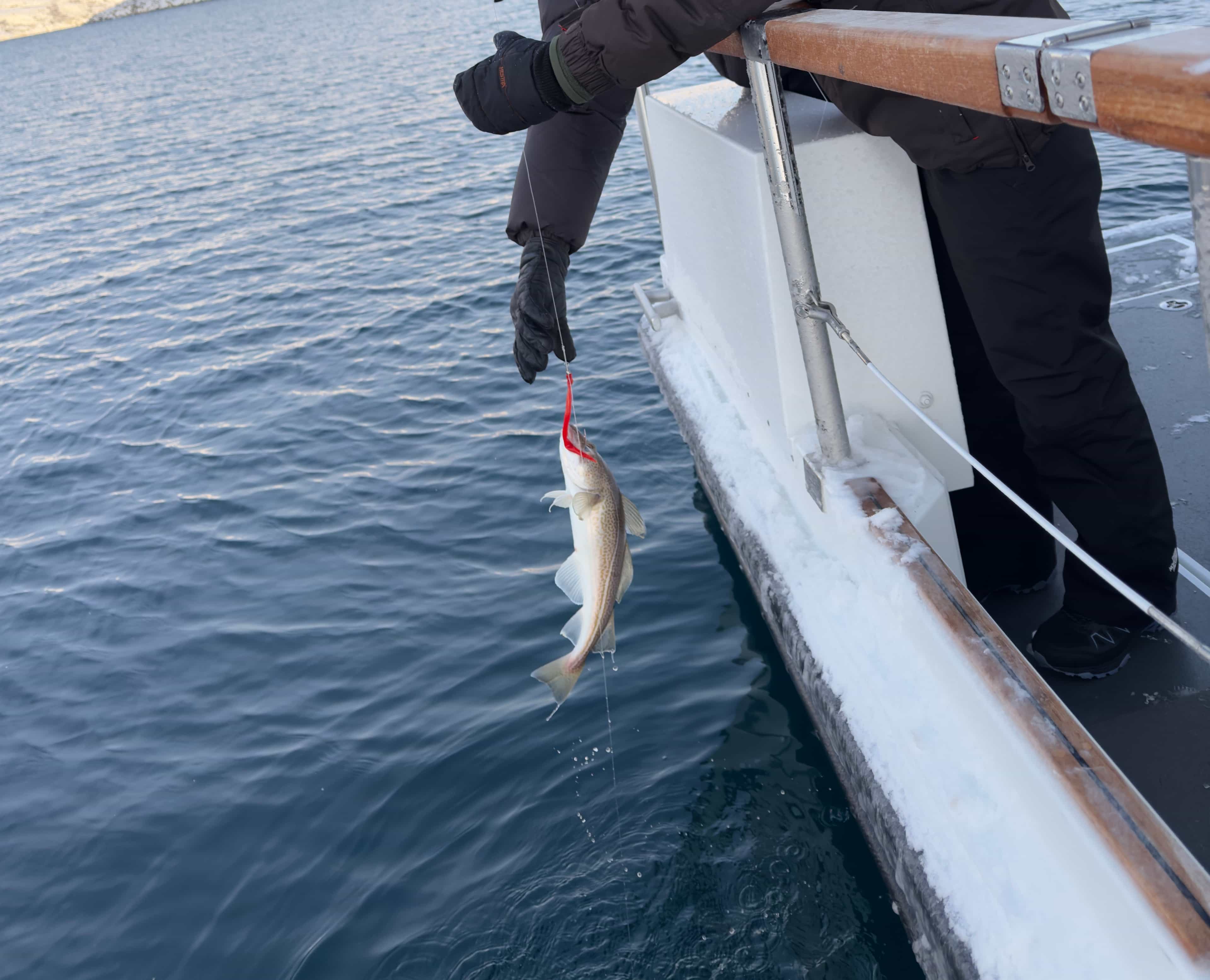 Fishing trip with traditionel kaffemik and local storytelling