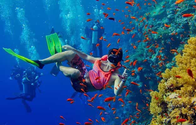 Mnemba Island Snorkeling