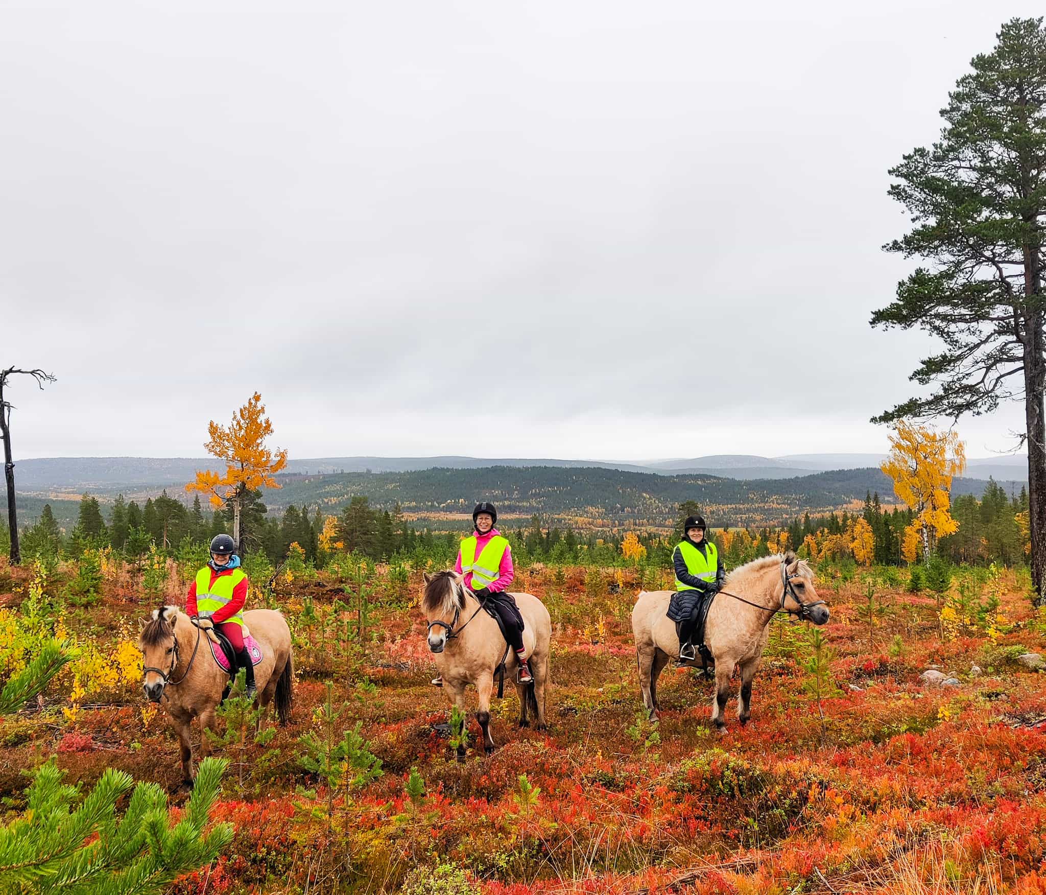 Horse riding over the hills 4 hour (ADVANCED ONLY)