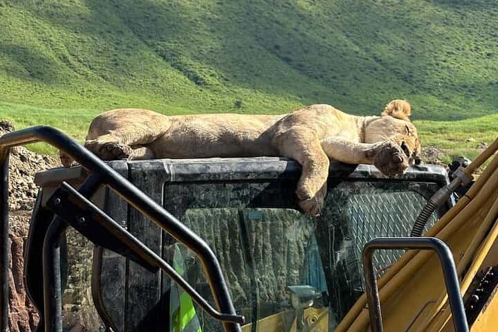  4-Day Mixed Experience: Tarangire, Serengeti & Ngorongoro 