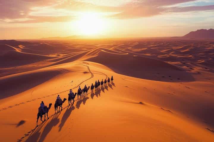 From Marrakech: 3-Day Sahara Desert Adventure to Fes, with Camels