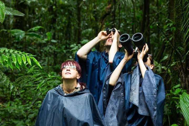 Costa Rica Safari 14D/13N Vacation Package