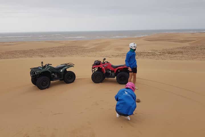 Essaouira P3: Quad tour forest beach dunes (free transfer)