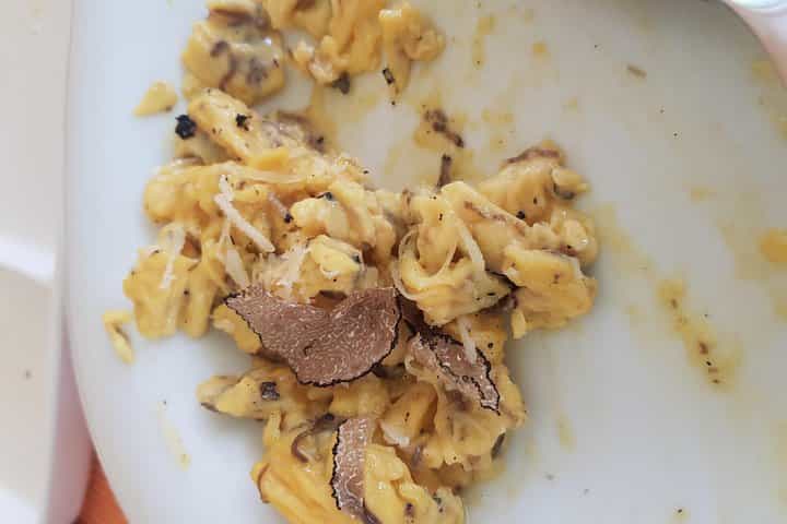 Truffle and wine / Taste of Istra with truffle hunting from Rovinj, Pula Porec, Umag