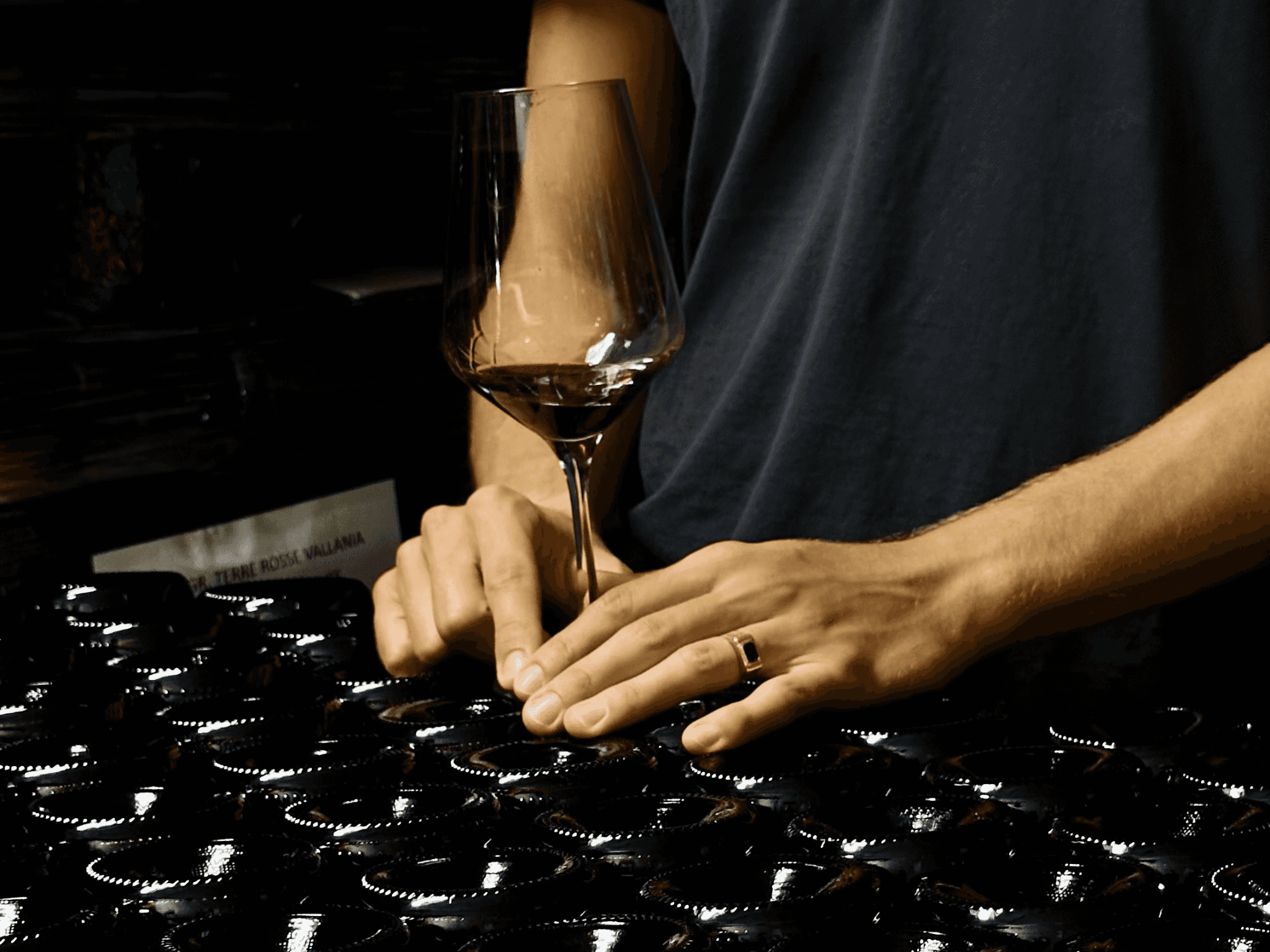 Boutique Winery Tour with Wine Tasting & Food in Bologna