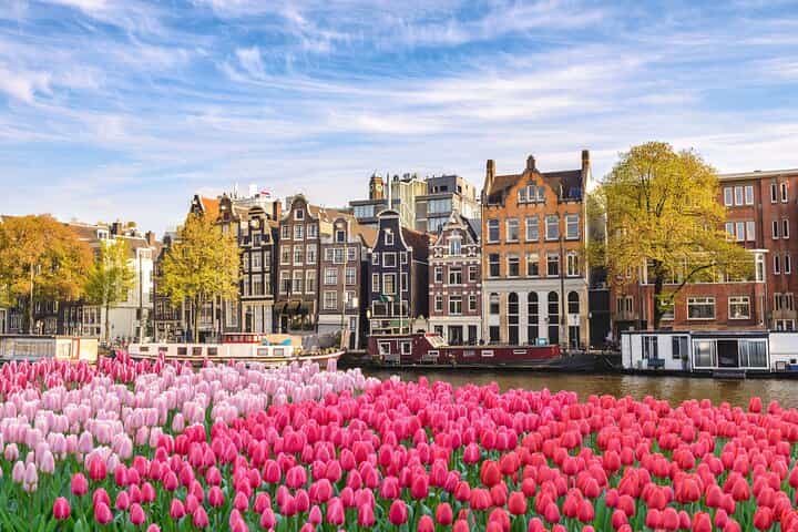Private direct transfer from Rotterdam to Amsterdam