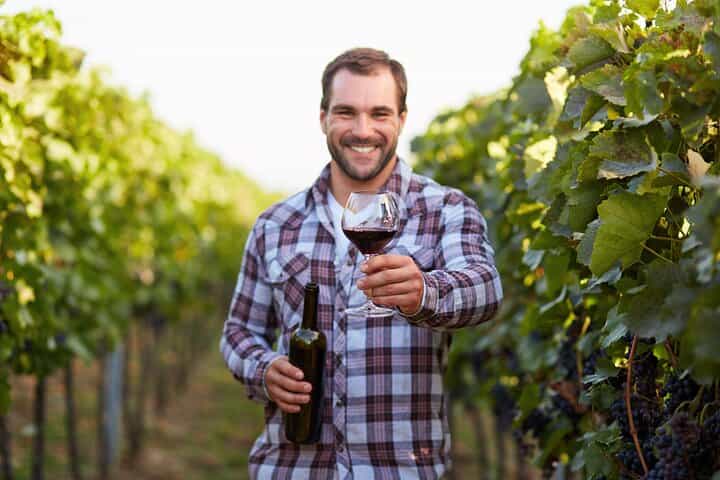 Rome: Frascati Private Day Trip - Town Tour, Lunch & Wine Tasting