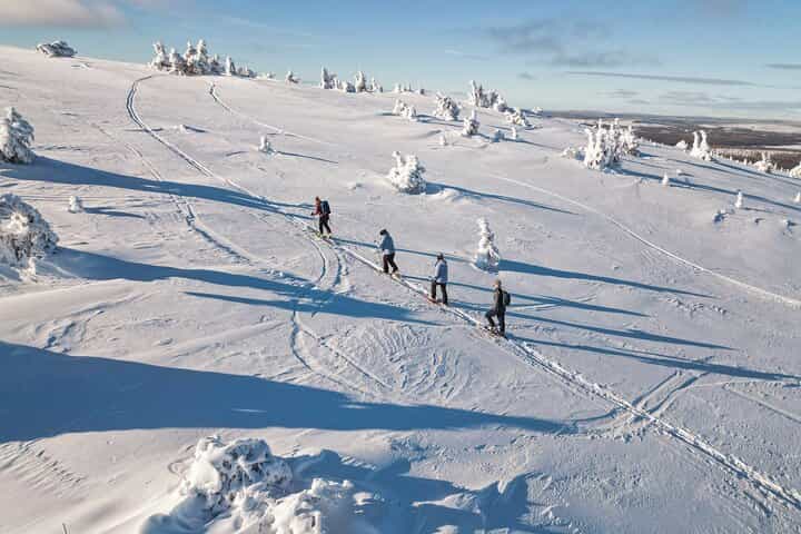 Lapland Wilderness Walking/ Snowshoeing Tour – Explore Wild Arctic Trails,  Kittilä / Levi Meeting Point