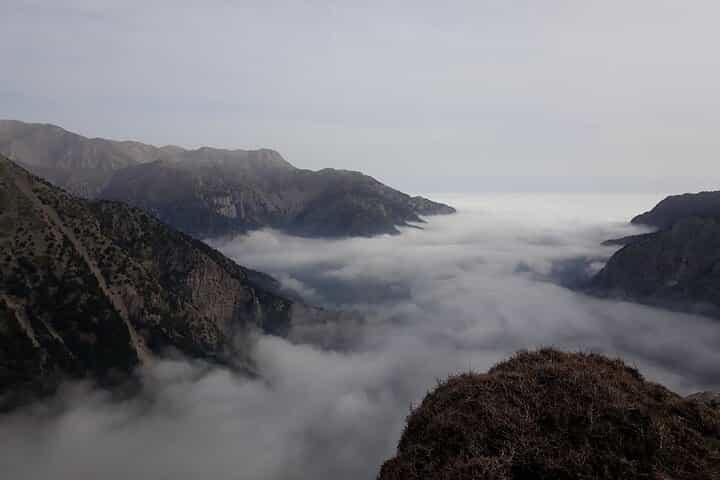 White Mountains - Semi Private Safari Tour with Tastings & Lunch