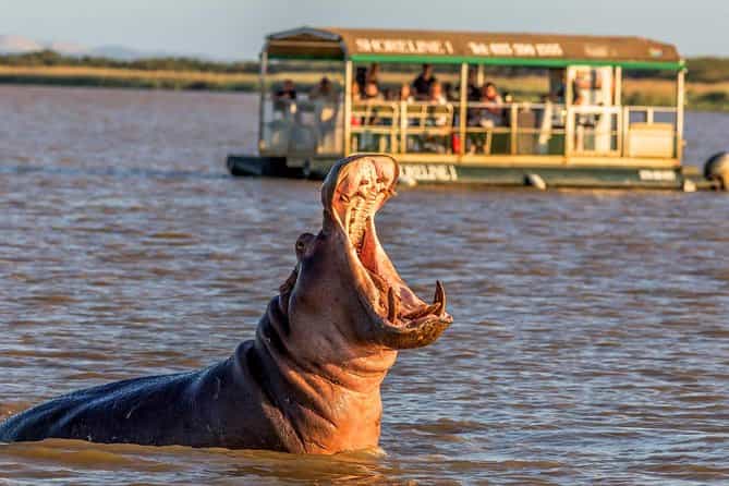 ST Lucia ISimangaliso Boat Safari and Emdoneni Wildcat Day Tour