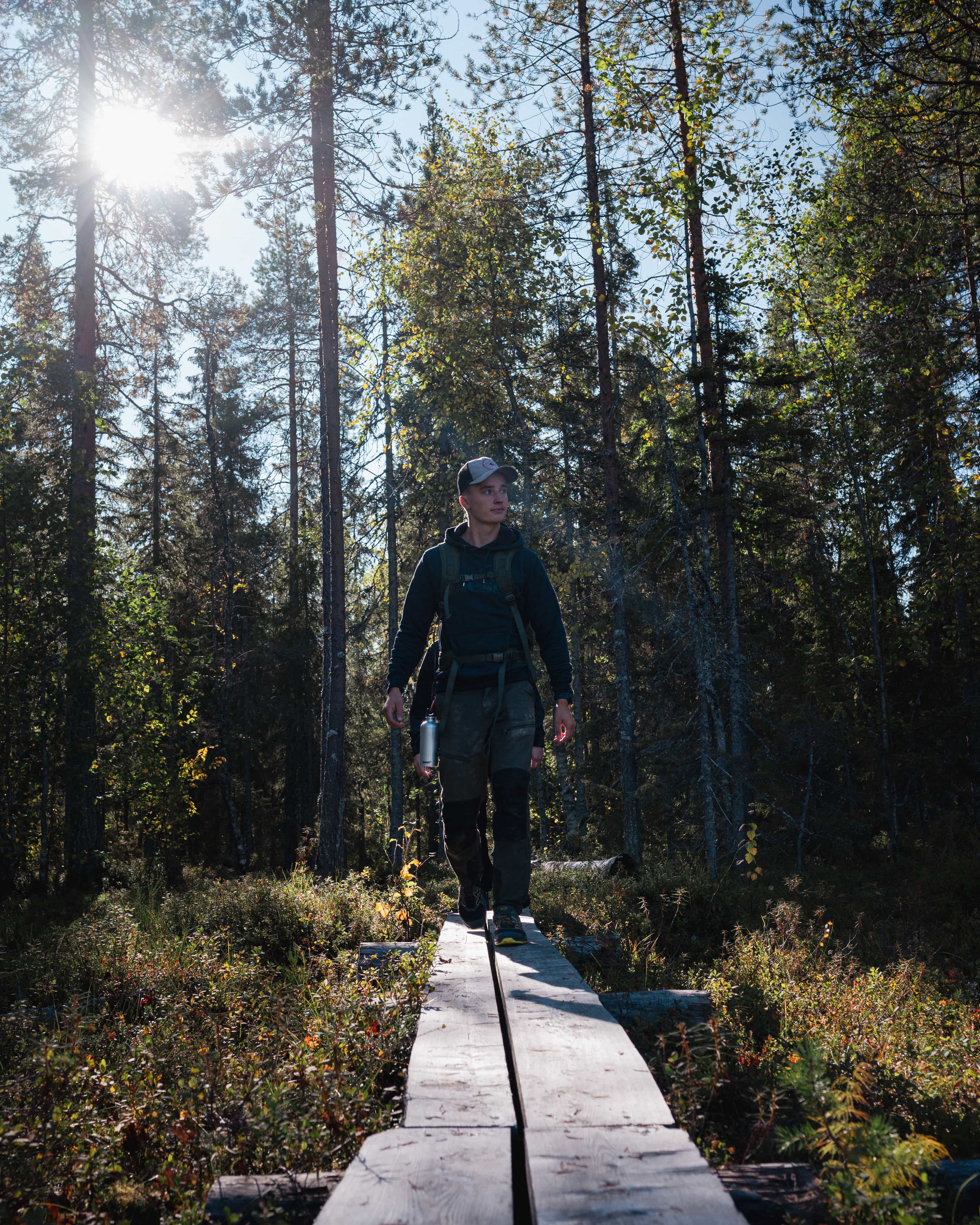 Pure Forest Hiking Adventure (Small-Group)