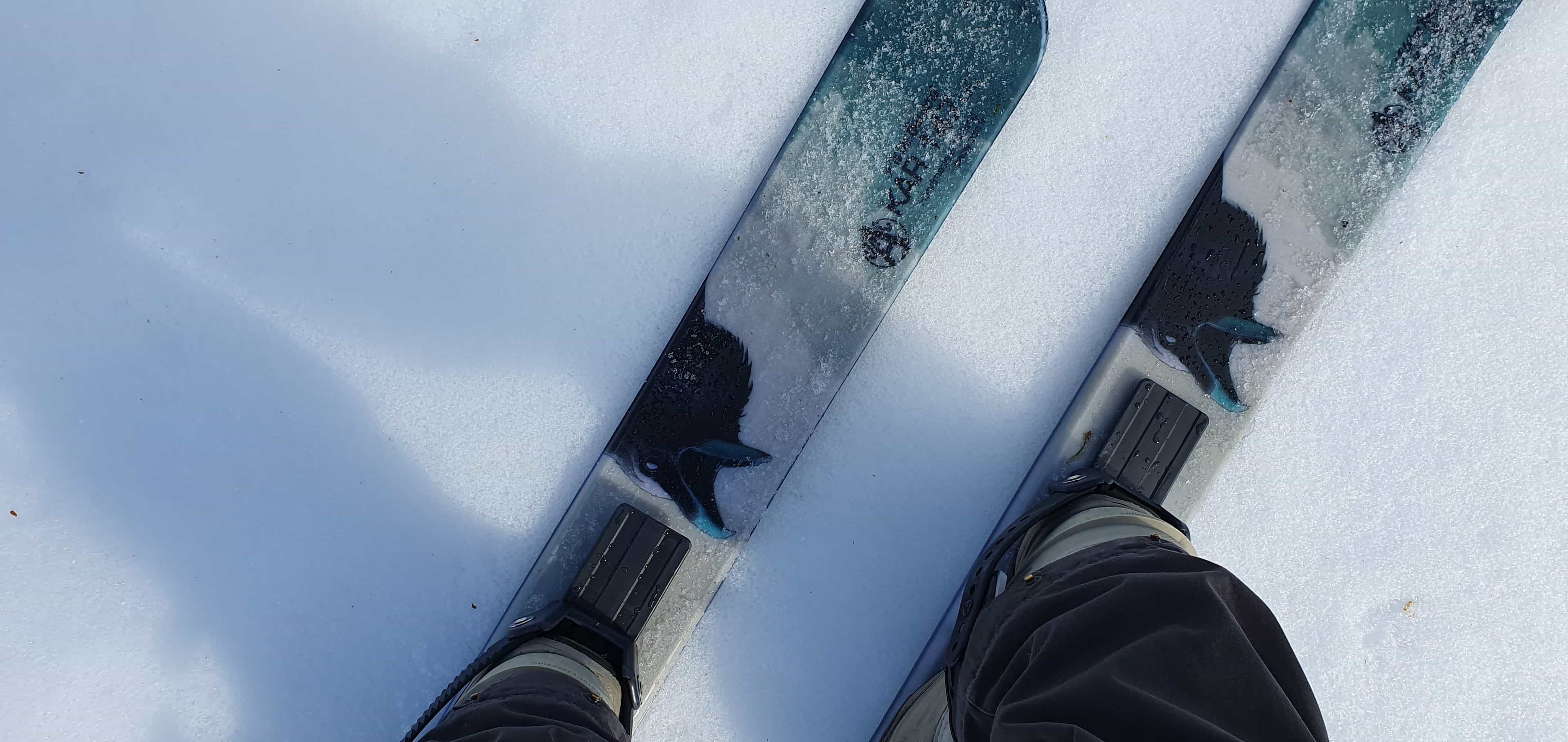 Snowshoeing Adventure in Salla National Park