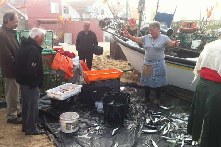 Porto Fish Tour Private Experience