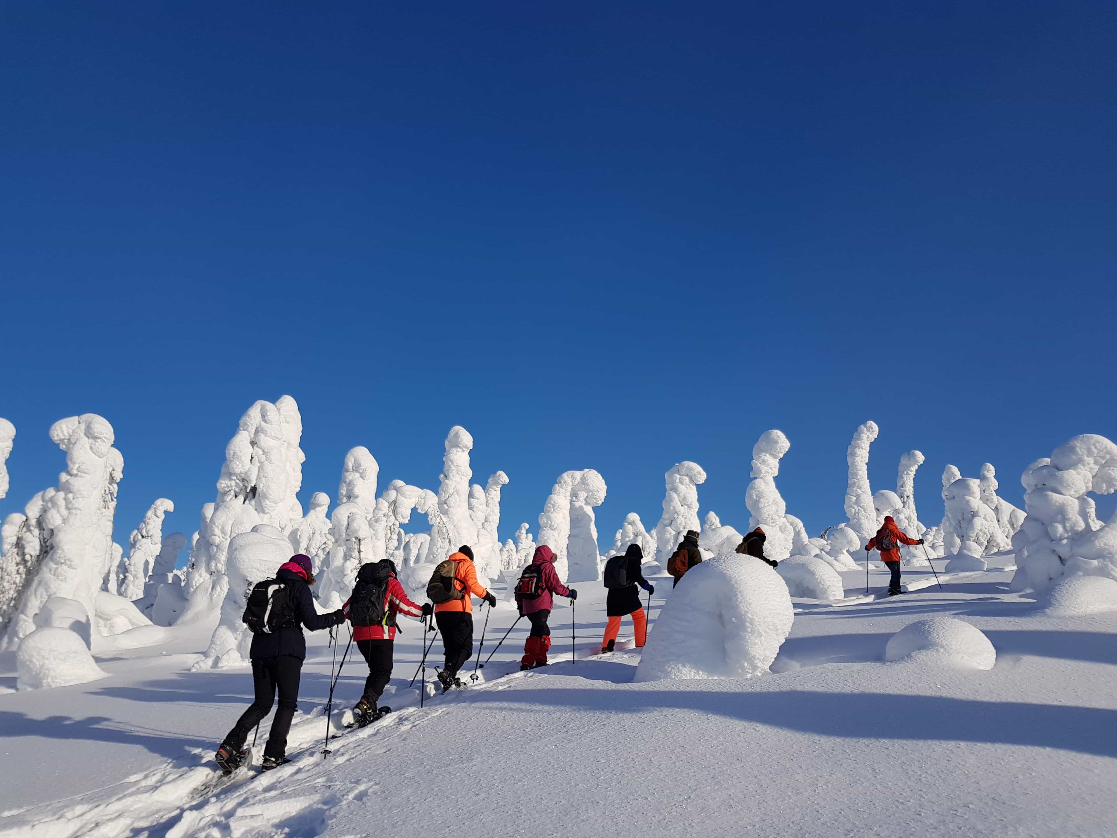Snowshoe Adventure in the Fells of Kuusamo