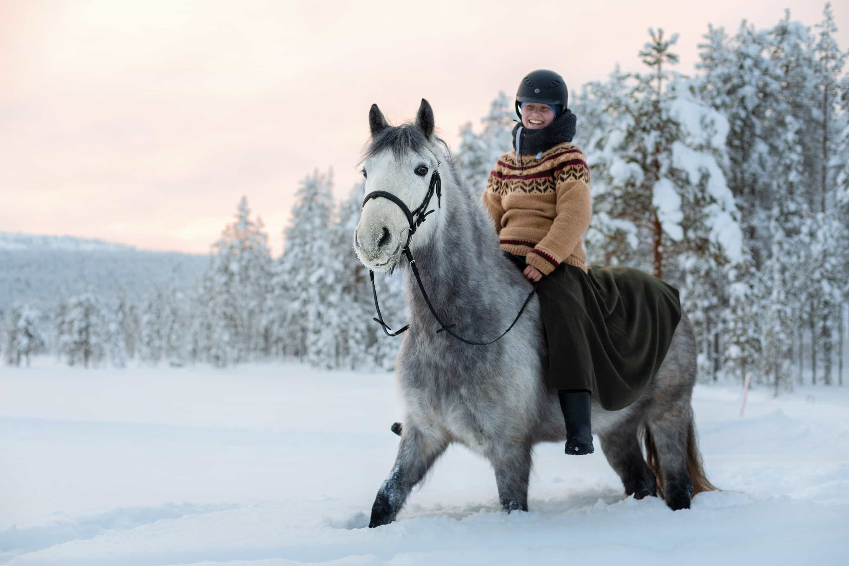 Bear's Way – Horseback trail ride