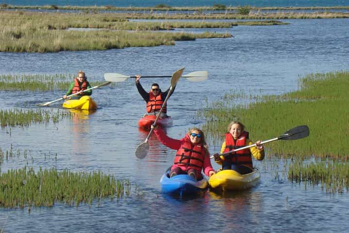 Aboriginal Cultural Tour with Kayak and Lunch from Ushuaia