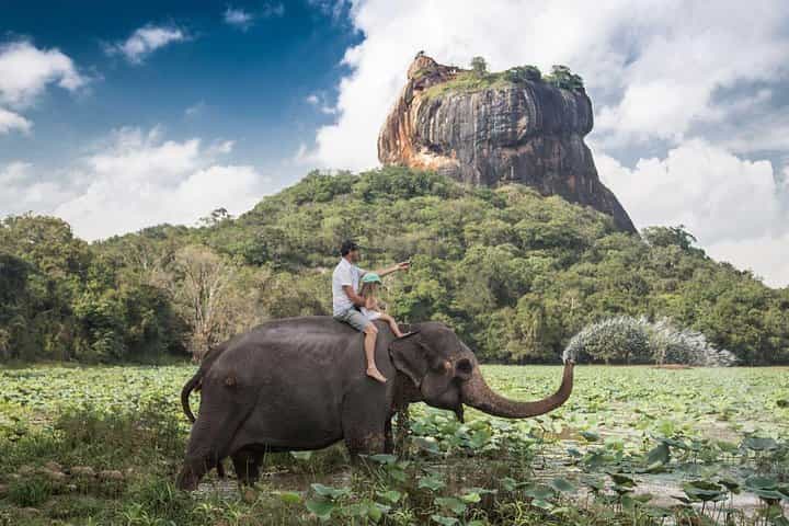 Sigiriya Rock Fortress All Inclusive Day Tour From Negombo