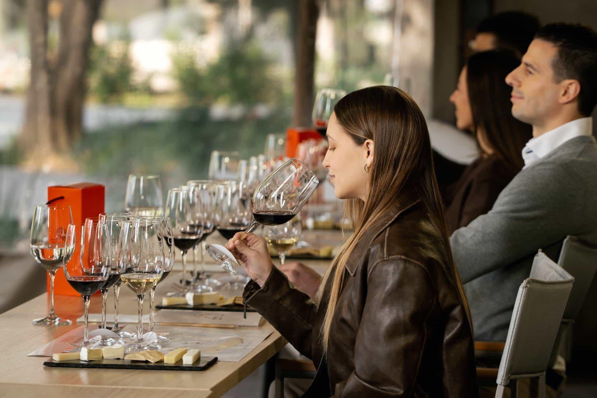 Visita Guiada Premium + Tasting Marqués de Casa Concha