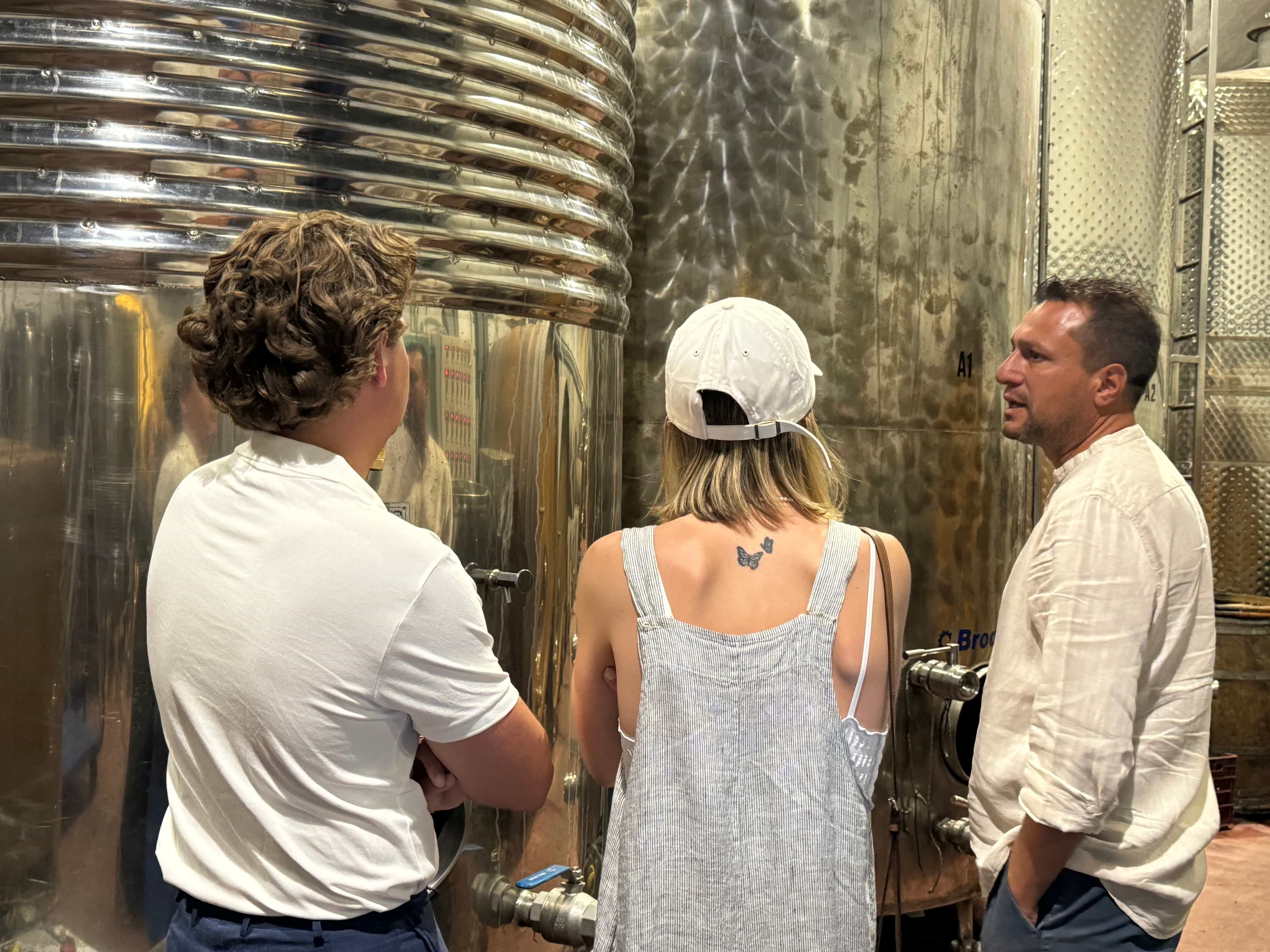 Santorini Wine & Olive Oil Tour – 2 Wineries + Santo Wines