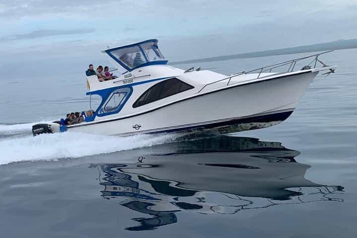 Transfer from Santa Cruz Island to San Cristobal Island - Musement