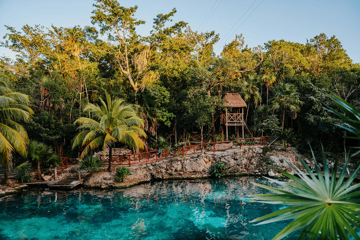Snorkel VIP Express en 4 Cenotes Paradisíacos
