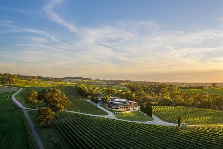  BT:From Phoenix Private Vortex to Vineyard Tour