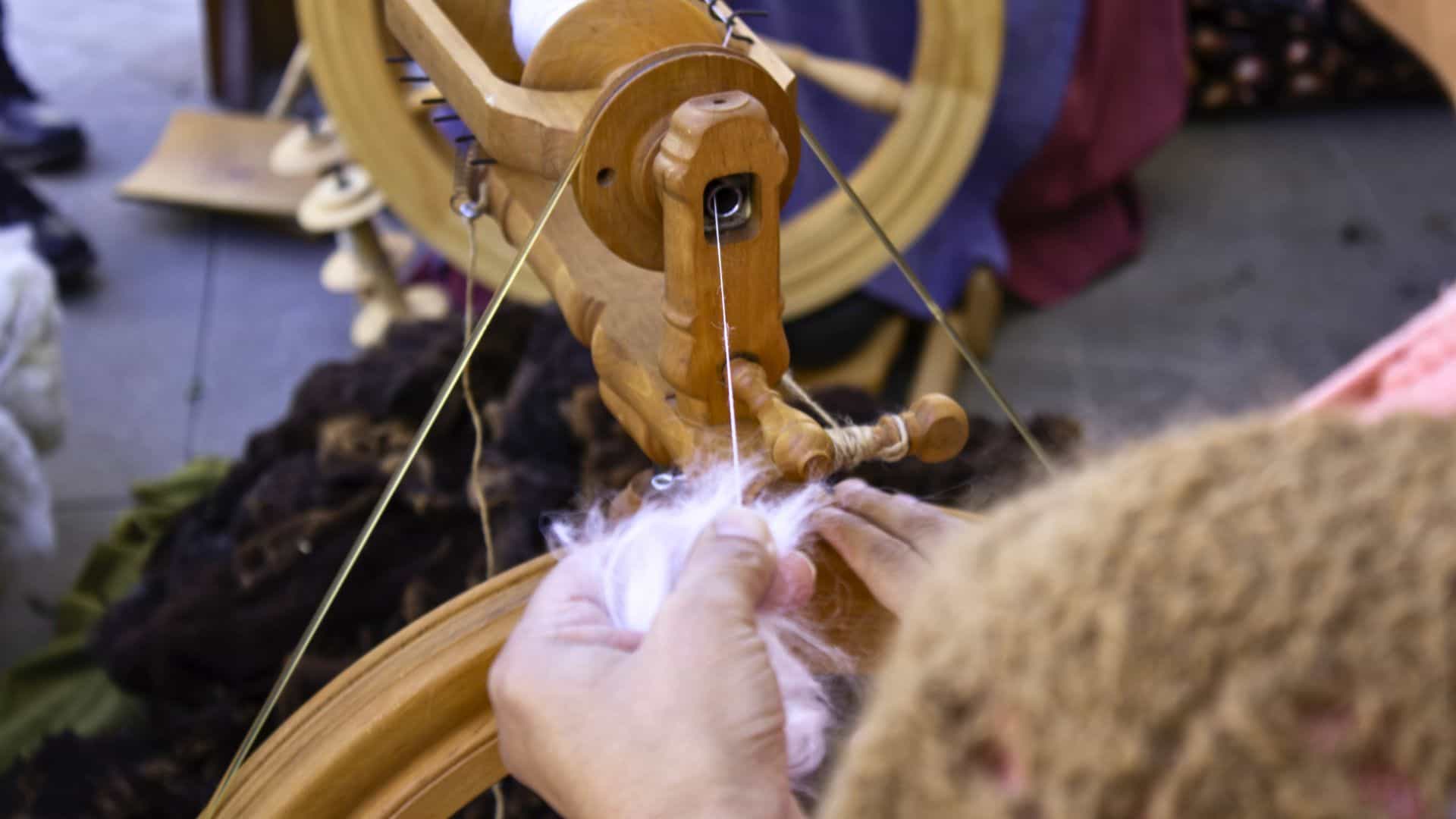 Olbia: discover the wool supply chain