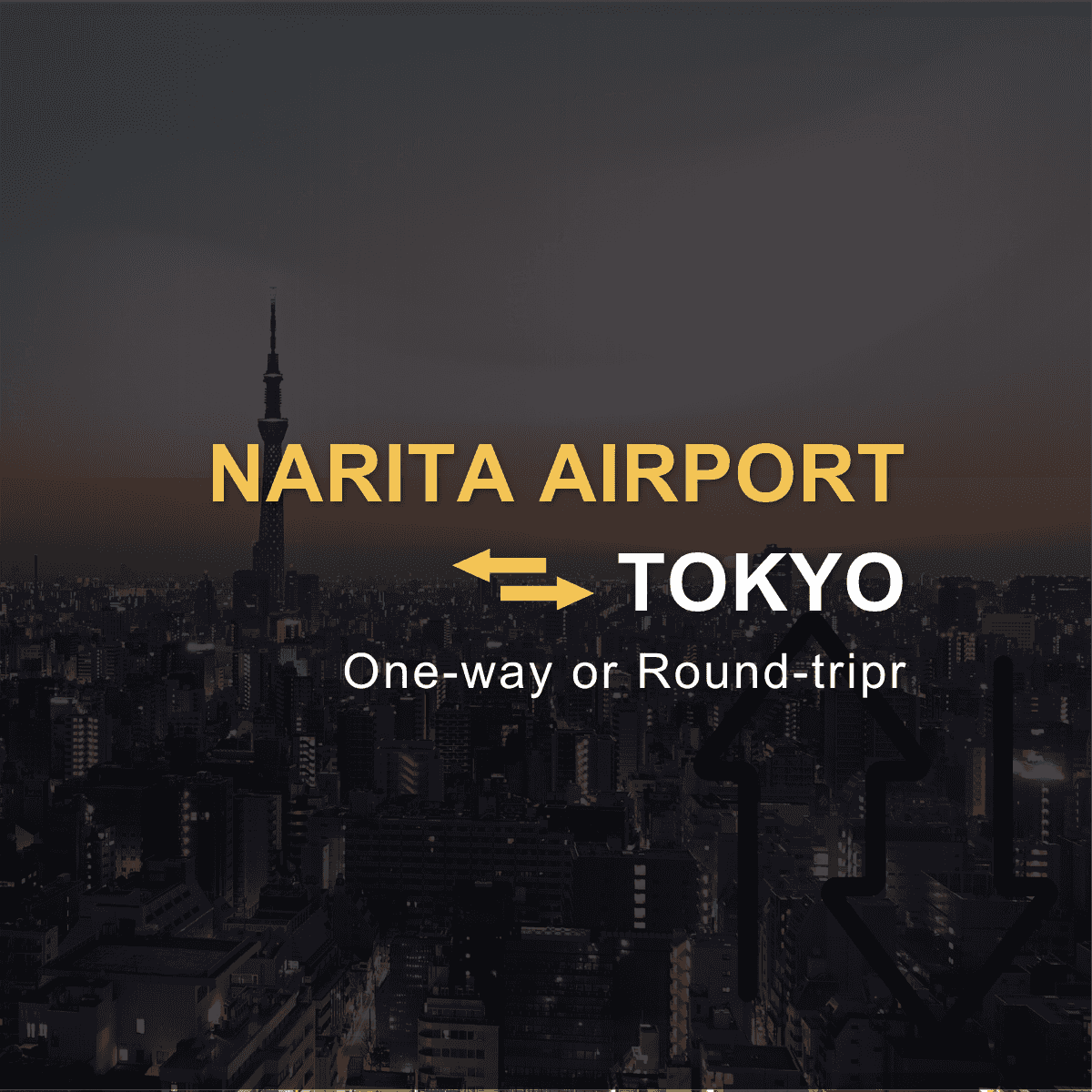 Narita Airport (NRT) ⇄ Tokyo City Private Transfer