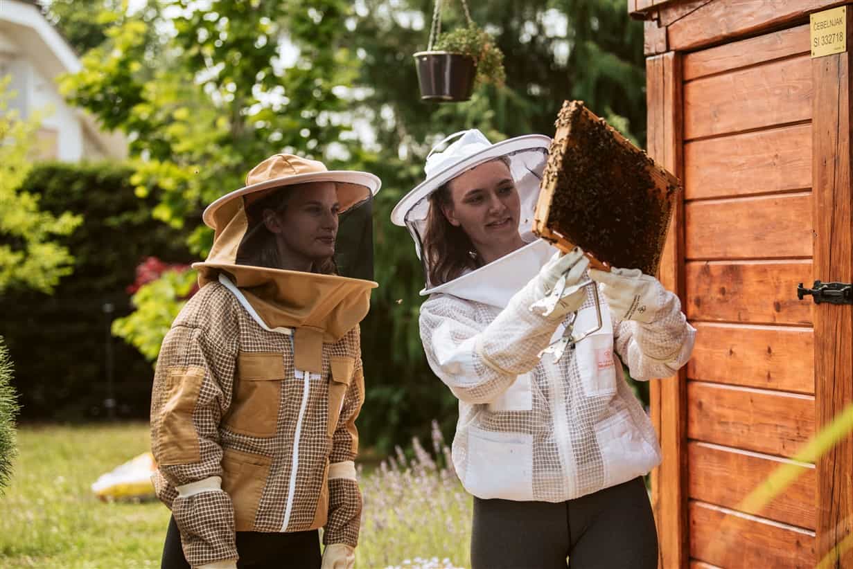 From Ljubljana: Private All About Bees Tour
