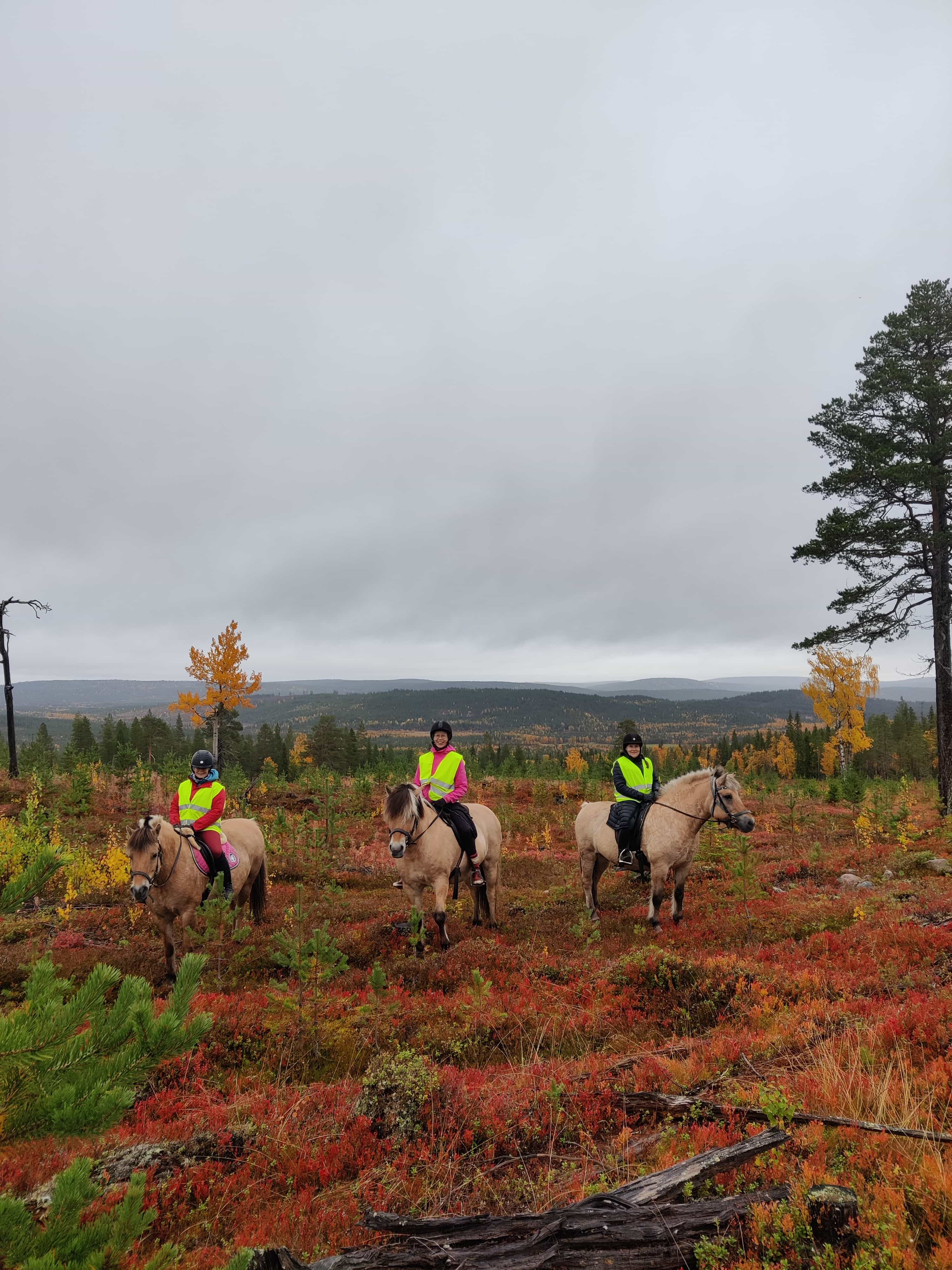 Moonlight horse riding tour