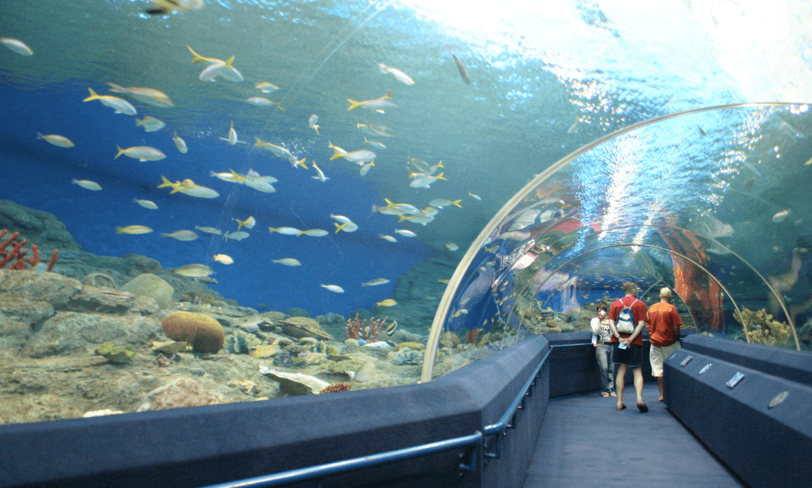 Underwater World Pattaya Ticket