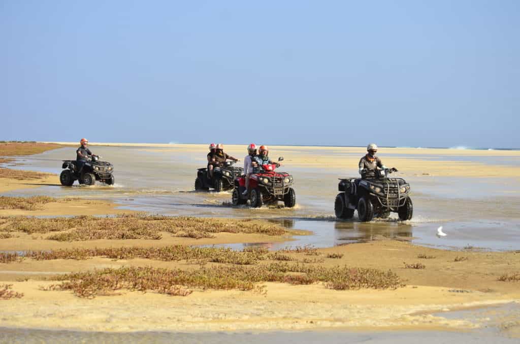  Boa Vista Island: 4-Hours Quad Tour to Santa Monica beach - Single Quad Morning Departure 