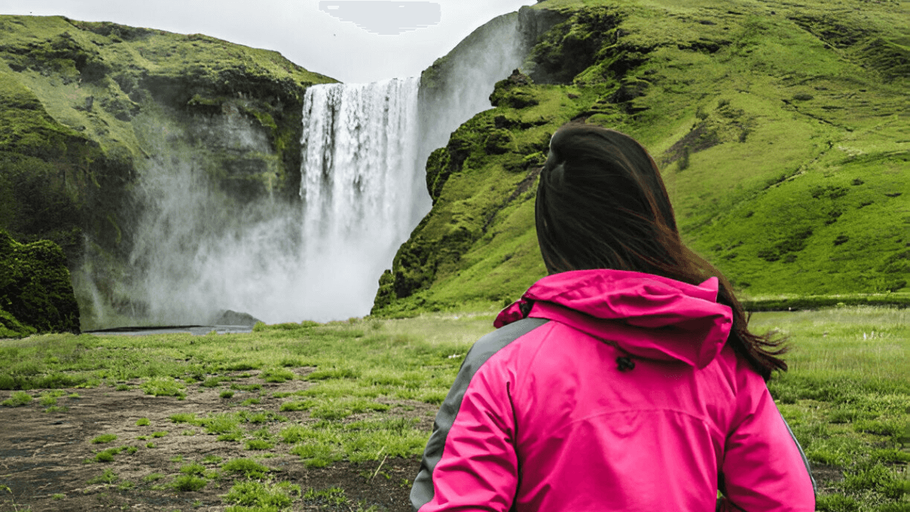 South Coast Adventure: Small Group Day Tour from Reykjavik