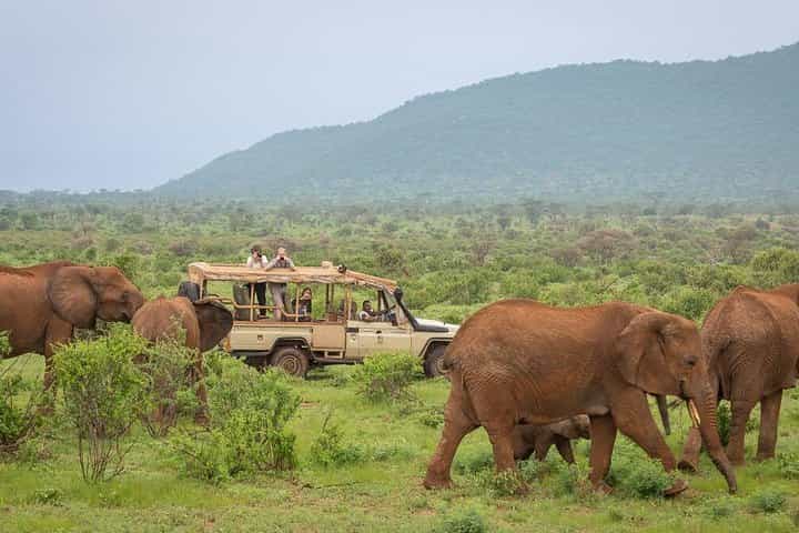 4-Day Nairobi & Samburu National Reserve Safari 