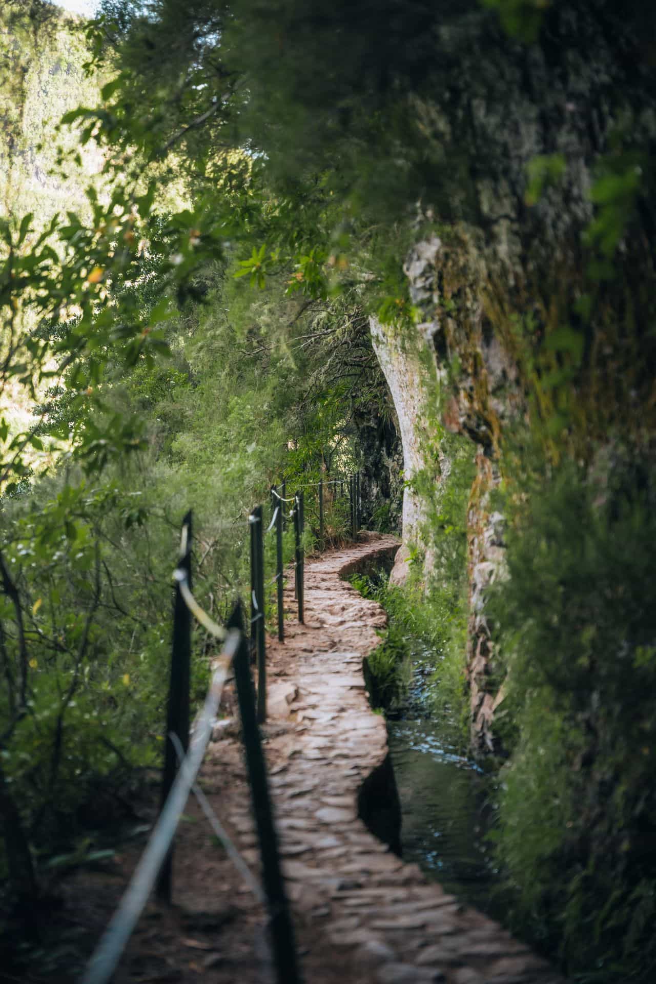 PR9 Queimadas Caldeirão Verde Levada Hiking Transfer