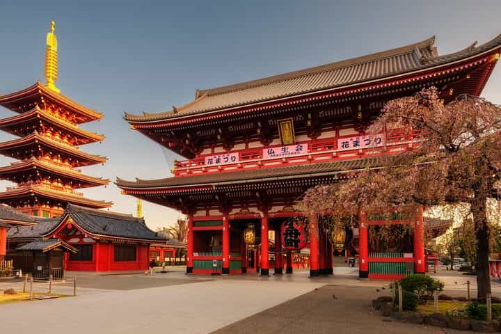 Tokyo Private Full-Day Tour by Car or Van