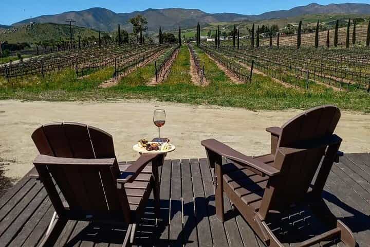One day Round-Trip Tour from the Border to Valle de Guadalupe