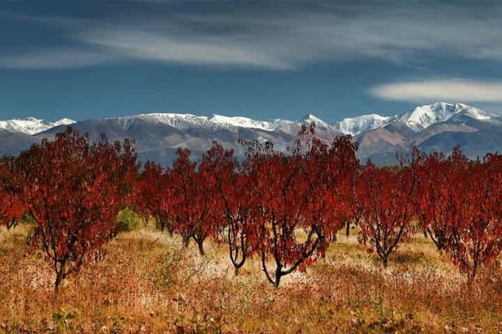 Cordon del Plata from Mendoza