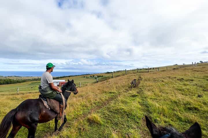 Terevaka tour to the highest point of Rapa Nui 