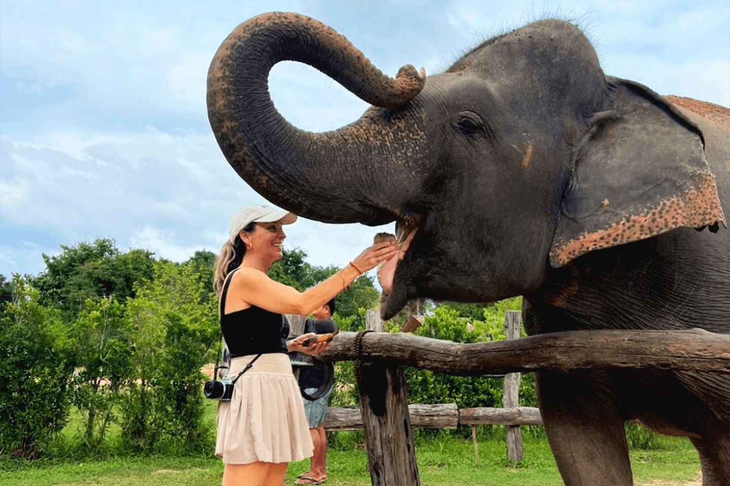 Cambodia Elephants Haft Day Experiences from Siem Reap