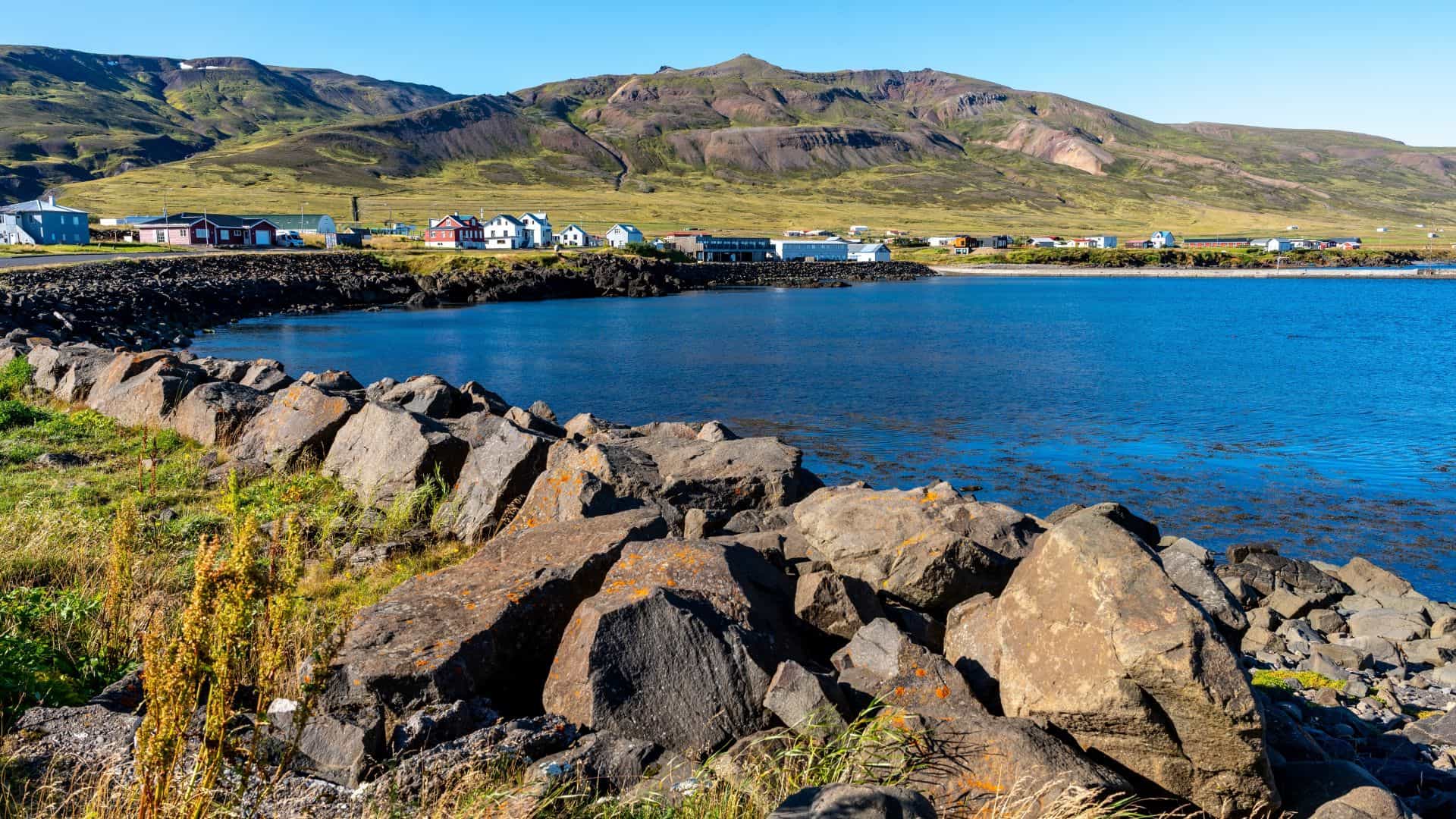  Puffins & Peaks: Borgarfjörður Eystri Tour from Seyðisfjörður Port